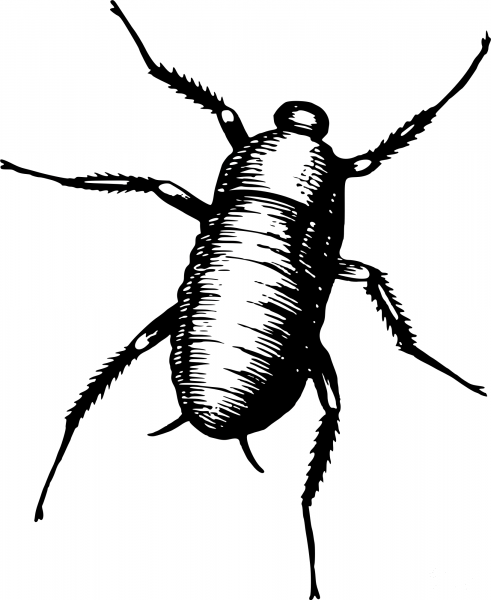 Vintage Bug coloring page image