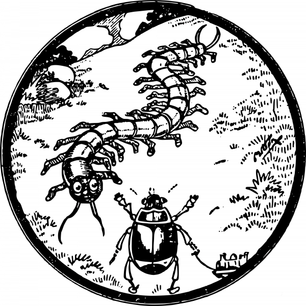 Vintage Bug Friends coloring page image