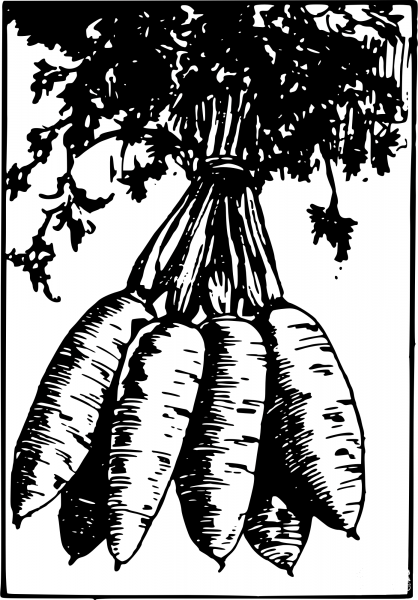 Vintage Bunch of Carrots coloring page image
