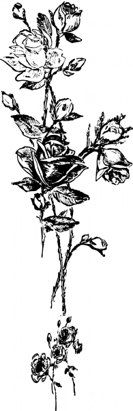 Vintage Bunch of Roses coloring page image