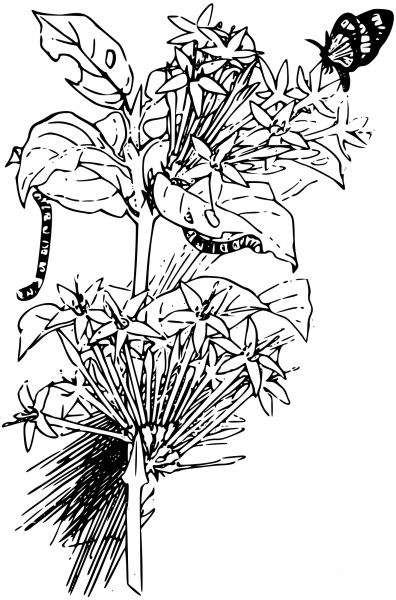 Vintage Butterfly and Larvae coloring page image