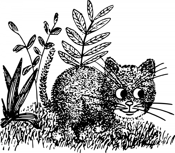 Vintage Cat Outside in the Grass coloring page image