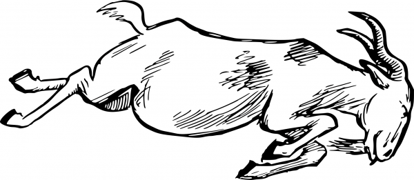 Vintage Charging Goat coloring page image