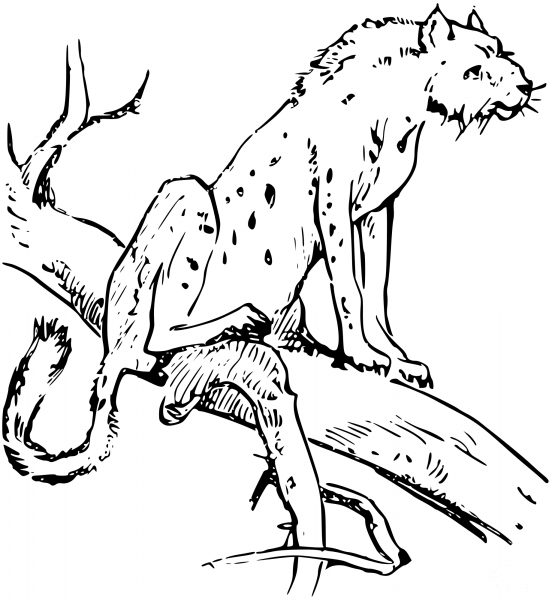 Vintage Cheetah coloring page image