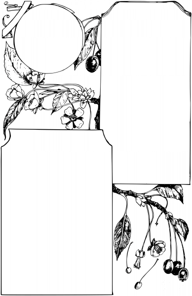 Vintage Cherry Blossom Three Frame coloring page image