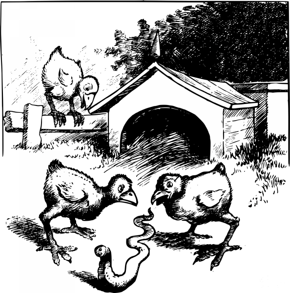 Vintage Chicks and a Worm coloring page image