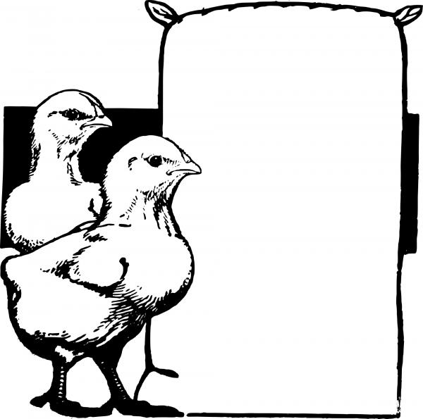 Vintage Chicks Frame coloring page image