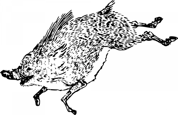 Vintage Classic Boar coloring page image