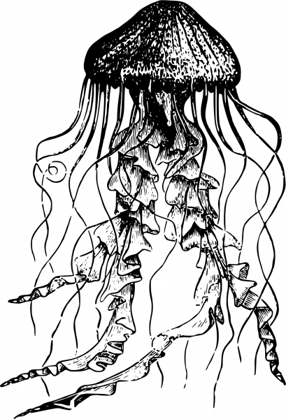 Vintage Classic Jellyfish coloring page image