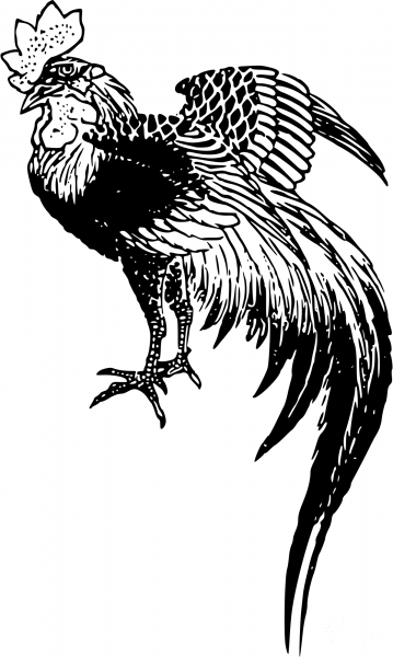 Vintage Cockerel coloring page image