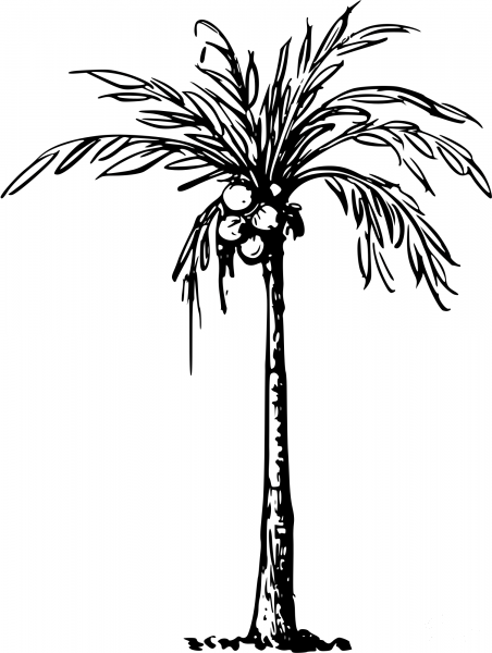 Vintage Coconut Palm coloring page image