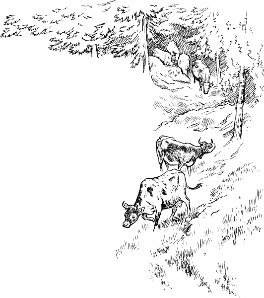 Vintage Cows in a Forest coloring page image