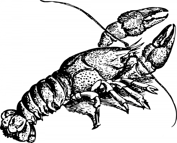 Vintage Crayfish coloring page image