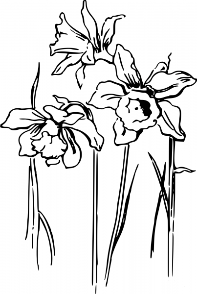 Vintage Daffodils coloring page image