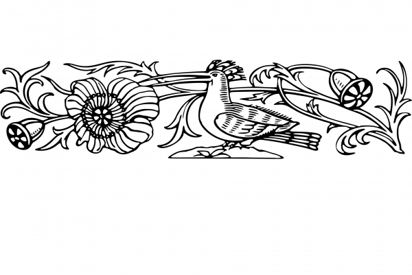 Vintage Decorative Divider coloring page image