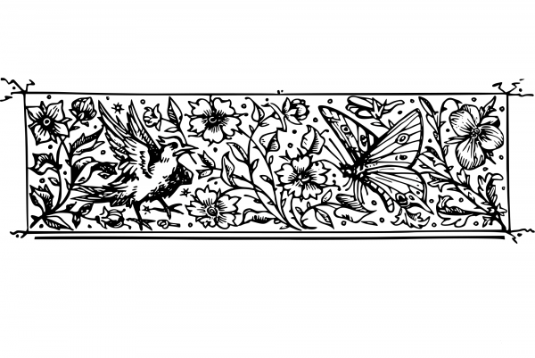 Vintage Decorative Divider coloring page image