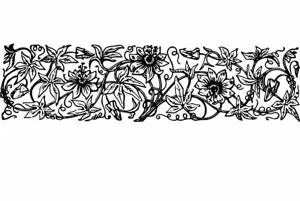 Vintage Decorative Divider coloring page image