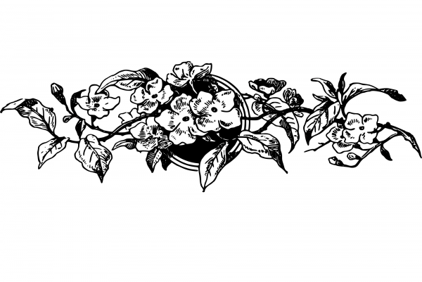 Vintage Decorative Divider coloring page image