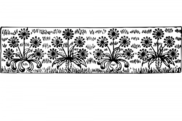 Vintage Decorative Divider coloring page image
