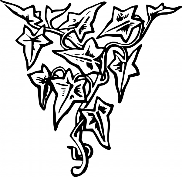 Vintage Decorative Divider coloring page image