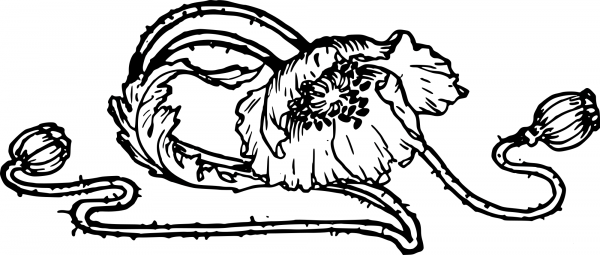 Vintage Discarded Poppy Flower coloring page image