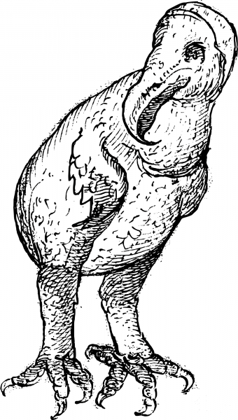Vintage Dodo in 1602 coloring page image