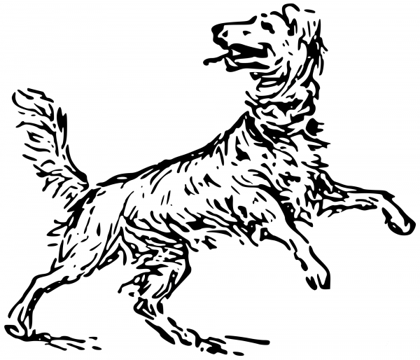 Vintage Dog coloring page image