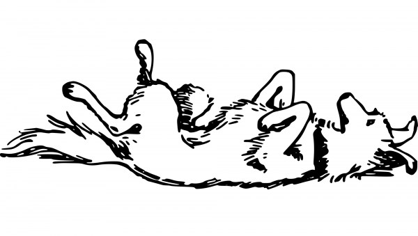 Vintage Dog coloring page image