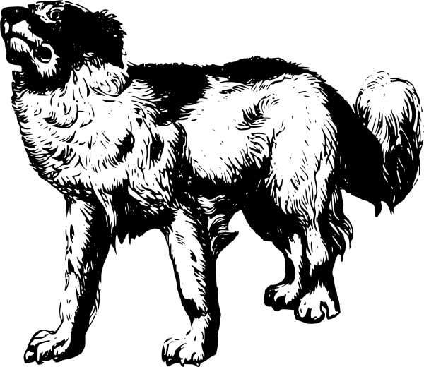 Vintage Dog coloring page image