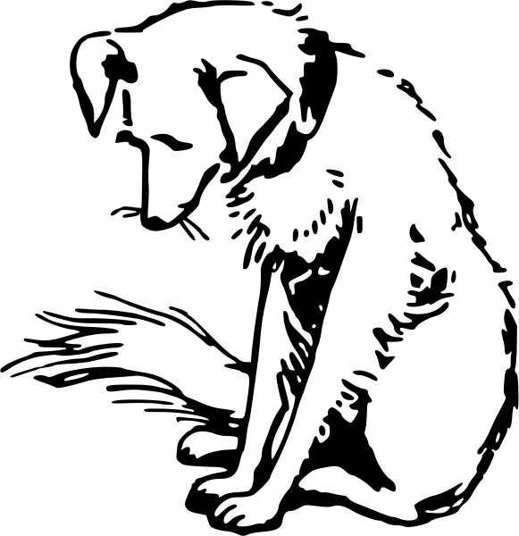 Vintage Dog coloring page image