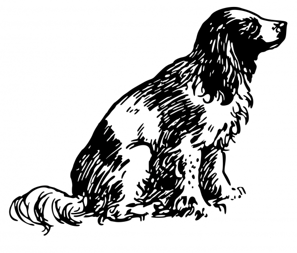 Vintage Dog coloring page image