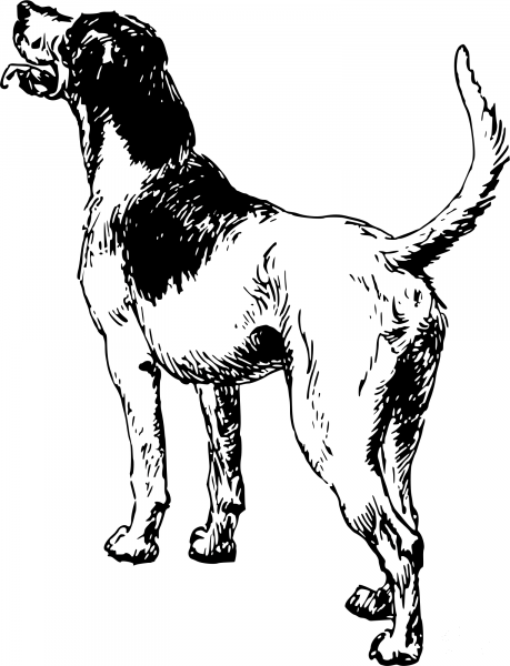 Vintage Dog coloring page image