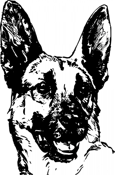 Vintage Dog Face coloring page image