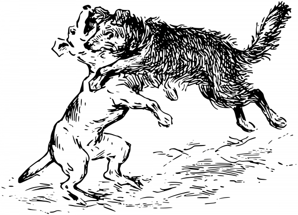 Vintage Dogs Fighting coloring page image