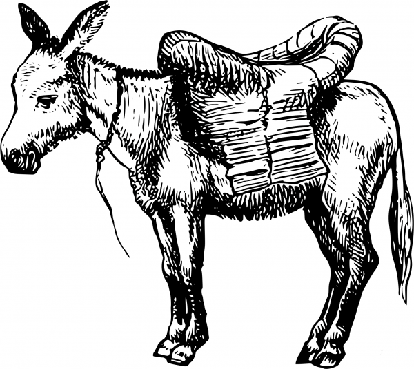 Vintage Donkey coloring page image