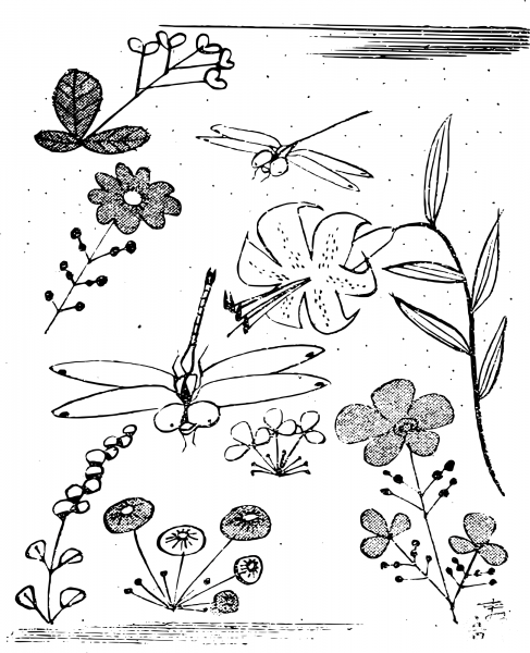Vintage Dragonflies and Flowers coloring page image