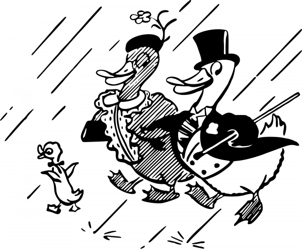 Vintage Duck Family coloring page image