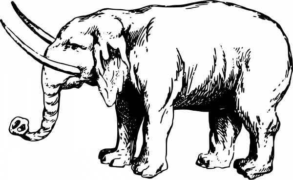 Vintage Elephant coloring page image