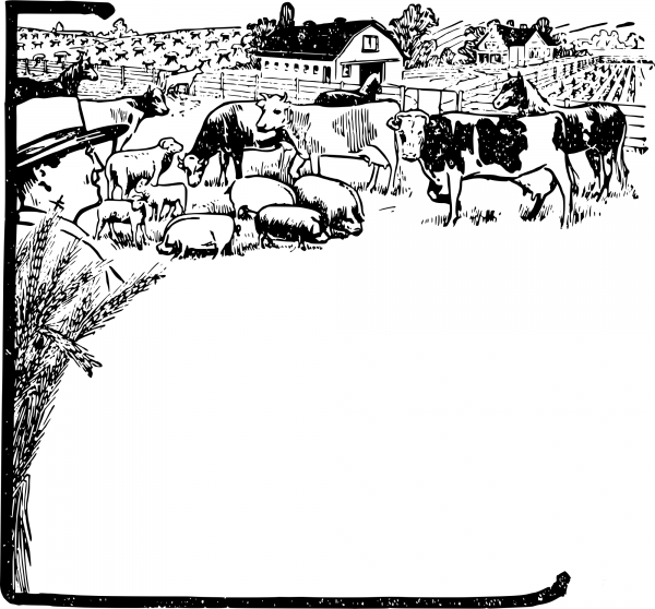Vintage Farm Animals Frame coloring page image