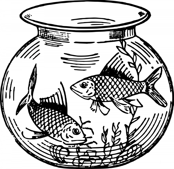 Vintage Fish in a Fishtank coloring page image