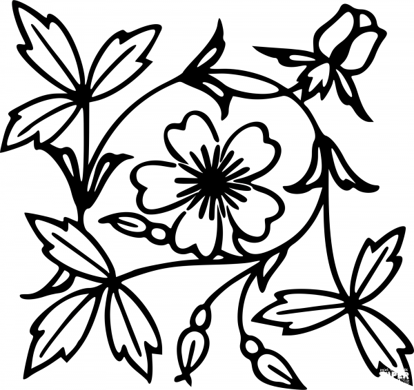 Vintage Floral Design coloring page image