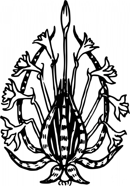 Vintage Floral Design coloring page image