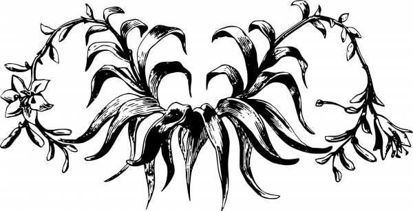 Vintage Floral Design coloring page image