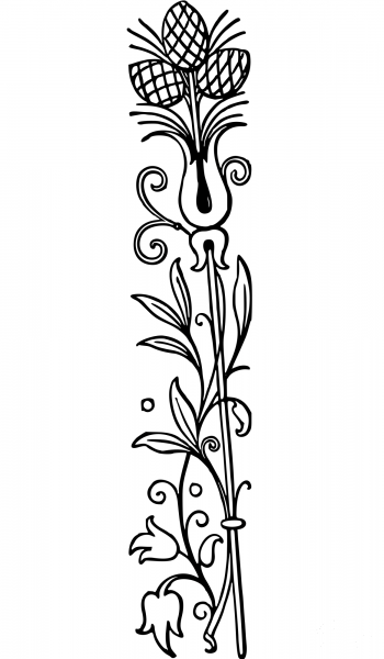 Vintage Floral Design coloring page image