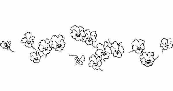 Vintage Floral Divider coloring page image