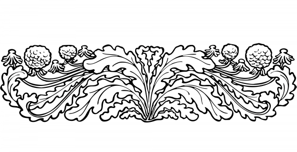 Vintage Floral Divider coloring page image