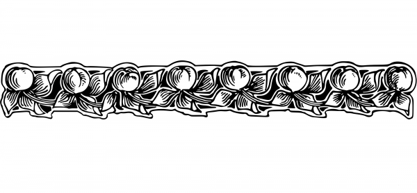 Vintage Floral Divider coloring page image