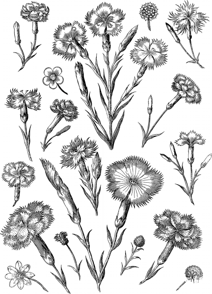 Vintage Floral Line Art coloring page image