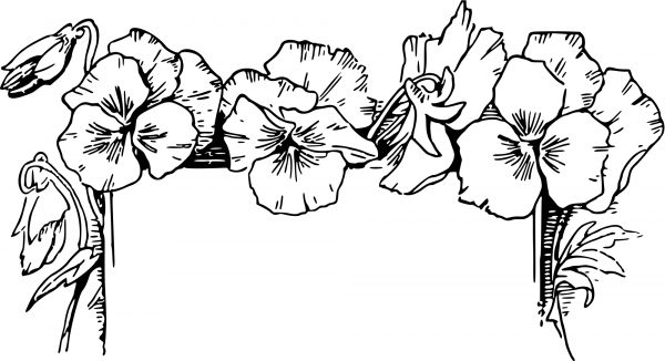 Vintage Floral Top Border coloring page image