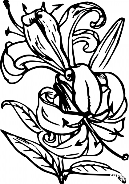 Vintage Flower coloring page image